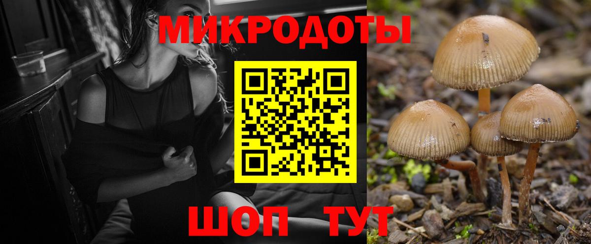 Псилоцибиновые грибы MAGIC MUSHROOMS  Псилоцибиновые грибы Magic Shrooms  Славгород  Вход с VPN 